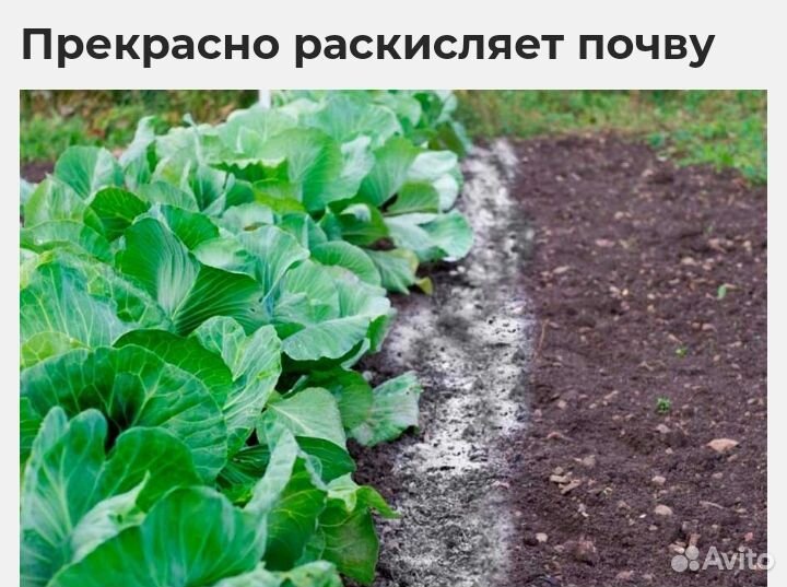 Зола древесная. Для удобрения