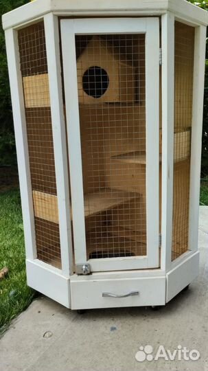 Клетка витрина