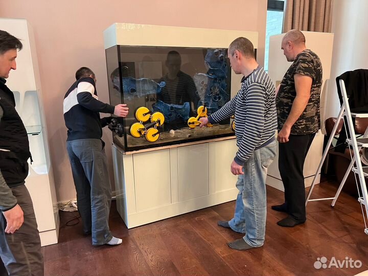 Грузчики / Такелажные работы