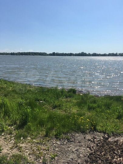 Участок 8 сот. (СНТ, ДНП)