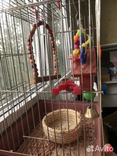 Клетка для попугая с кормом и аксессуарами