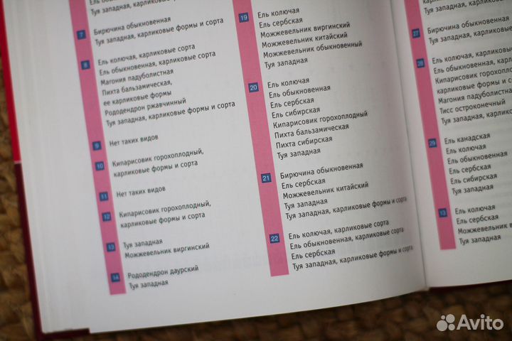 Сапелин. Живые изгороди