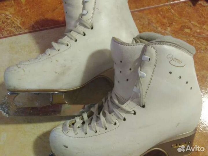 Фигурные коньки edea chorus