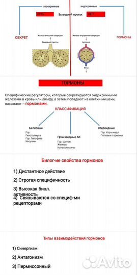 Репетитор по анатомии физиологии фармакологии
