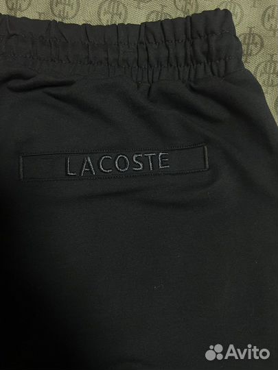 Шорты мужские lacoste