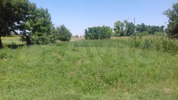 Участок 20 сот. (ИЖС)