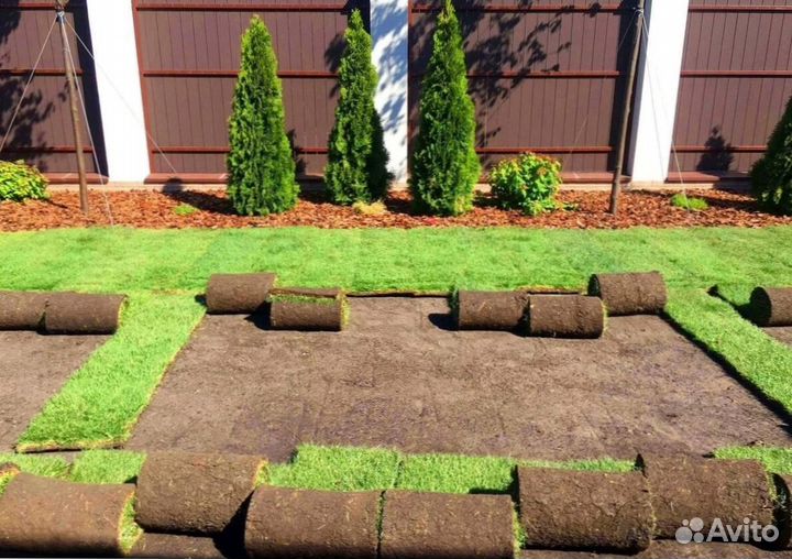 Газон рулонный