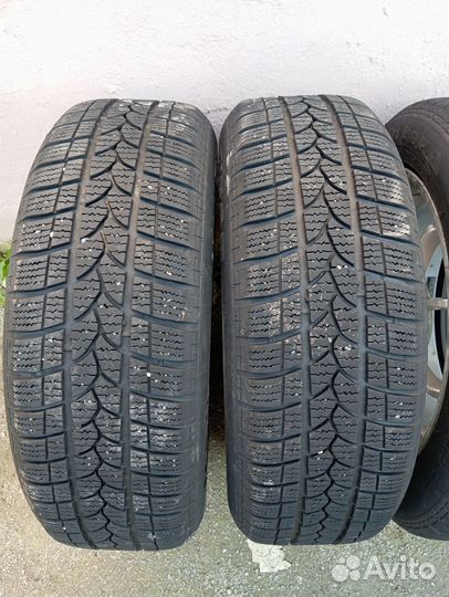 Tigar Winter 1 215/55 R17 98V