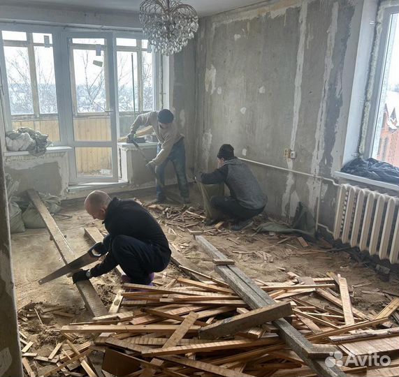 Вывоз мусора/Демонтаж квартир