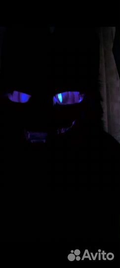 Фурсьют Скалл Дог фурри