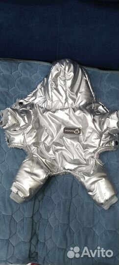 Вещи для собак