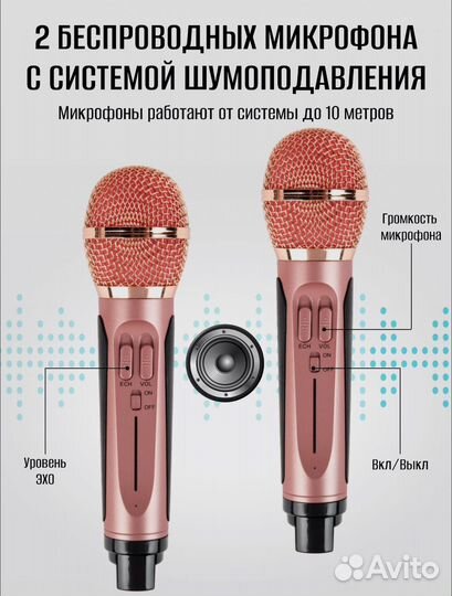 Караоке система с двумя беспроводными микрофонами
