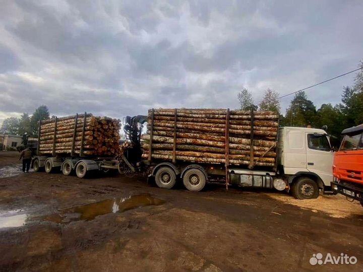 Дрова. Колотые