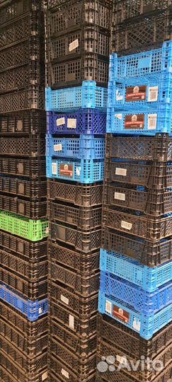 Ящик пластиковый. для овощей