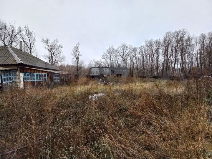 Дом 58,6 м² на участке 43 сот.