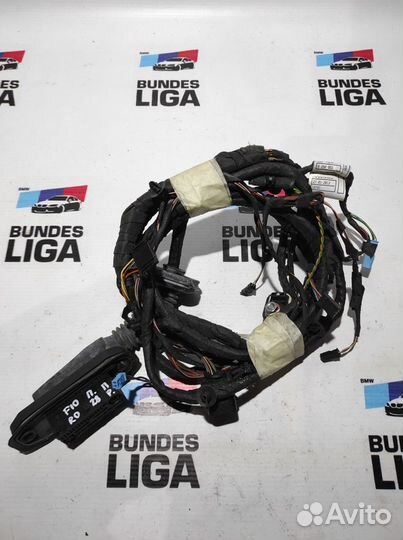 Проводка дверная BMW F10 передняя правая