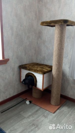 Домик для кота с когтеточкой