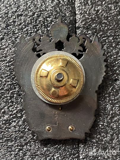 Нагрудный знак принадлежности к фтс России