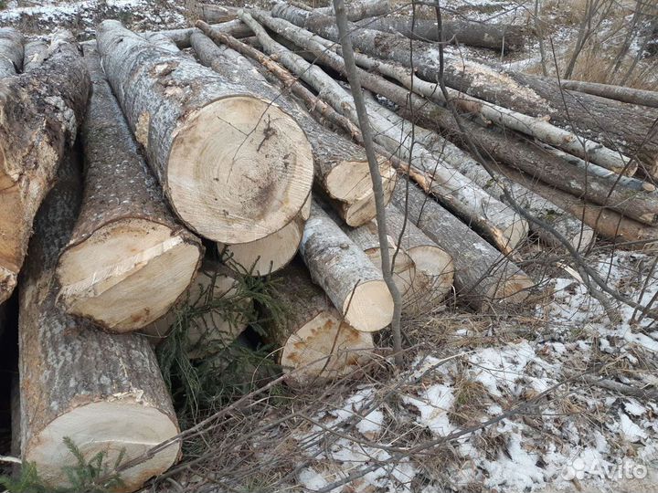 Имеется в продаже Осина,Липа,Береза и Хвоя