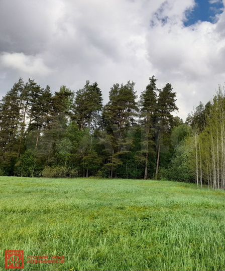 Участок 4,2 га (СНТ, ДНП)