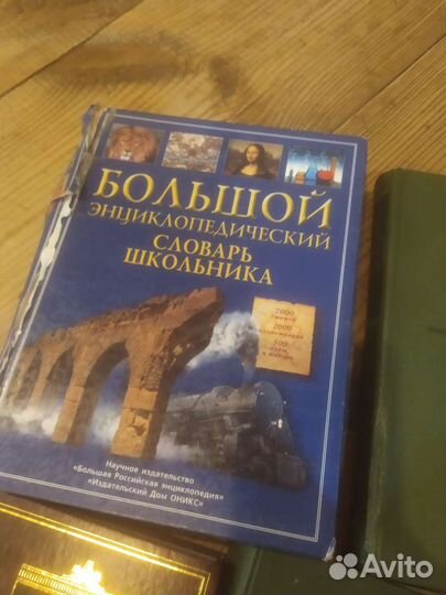 Большой энциклопедический словарь школьника