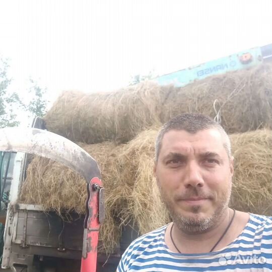 Сено в рулонах 2023