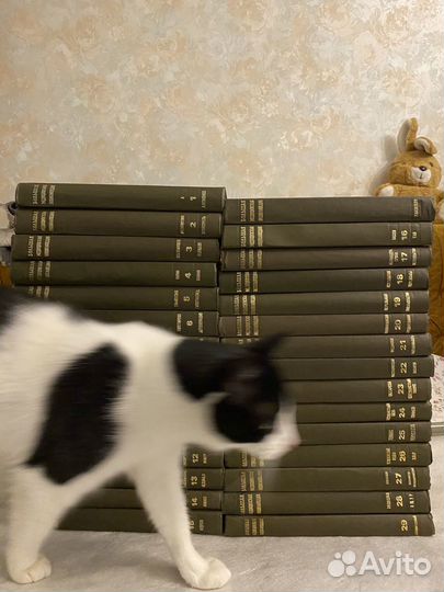 Бмэ Большая Медицинская Энциклопедия