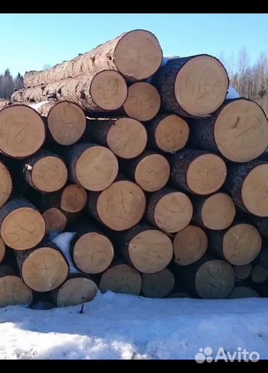 Бревно кругляк