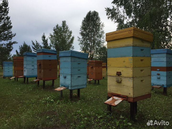 Улей для пчел бу