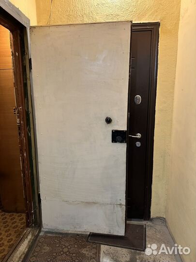 Дверь входная железная
