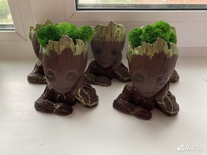 Малыши грутики