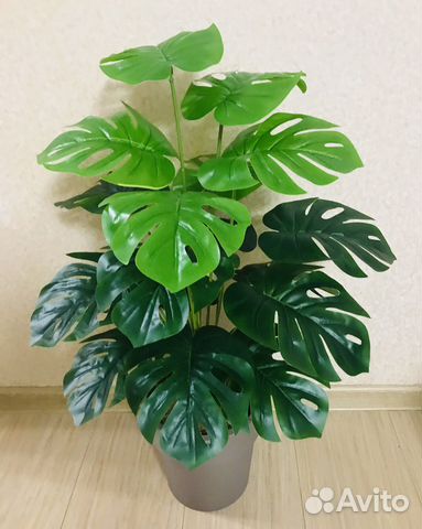 Монстера в кашпо искусственная комнатная Икеа