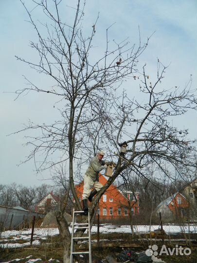 Скворечники, кормушки и другие изделия из дерева