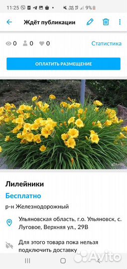 Лилейники