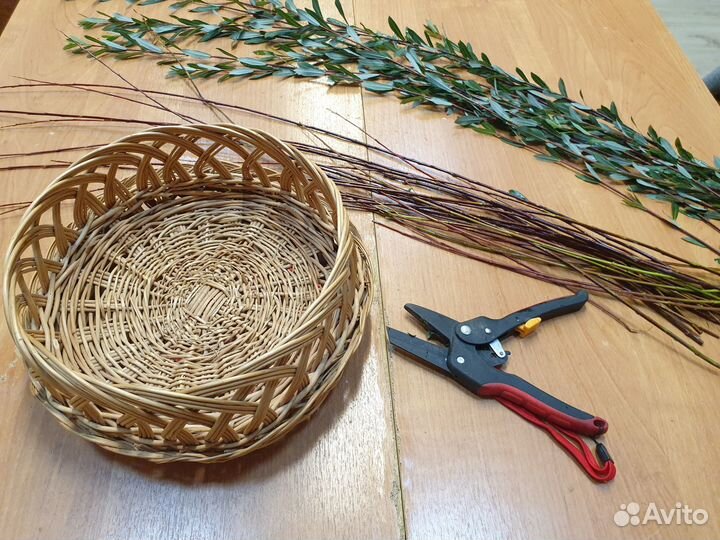 Лоза для плетения и поделок