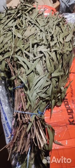 Веники дуб 280-320 липа 250-320, берёза 200 эвкали