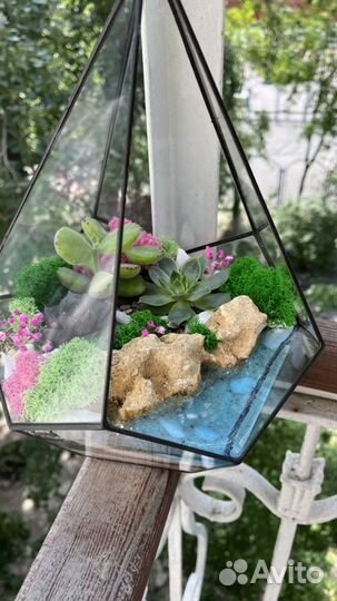 Флорариум с суккулентами