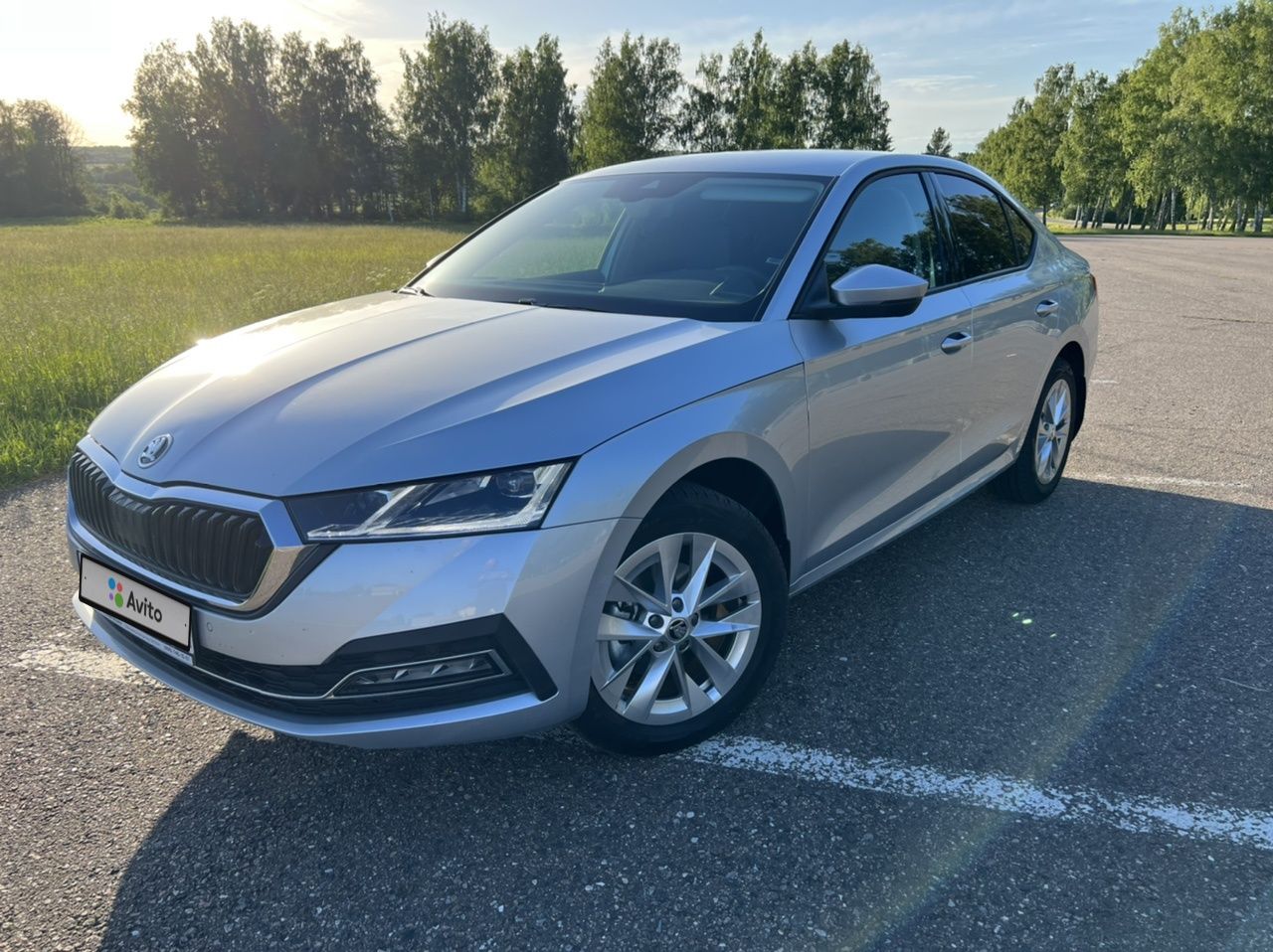 Skoda Octavia: фото владельца
