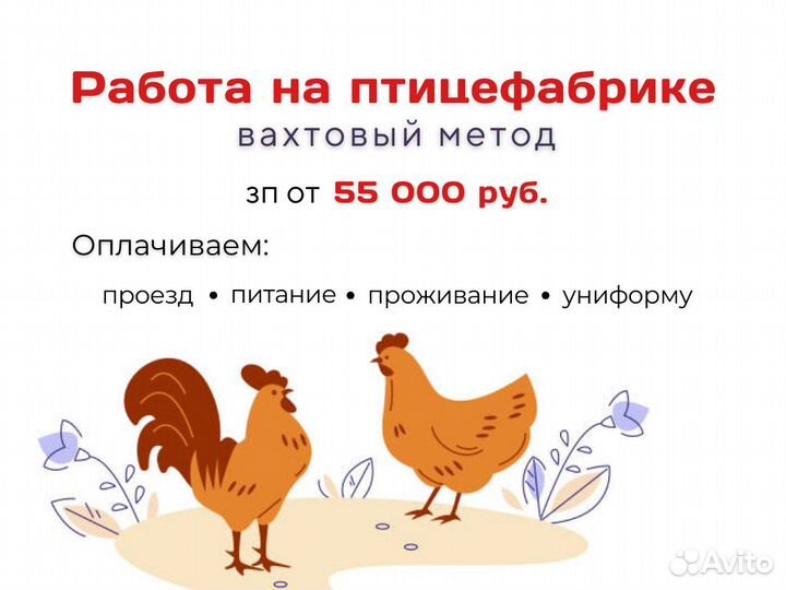 Фасовщик-комплектовщик на птицефабрику вахтой