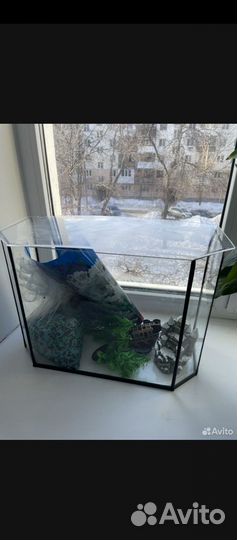 Аквариумы(обмен)