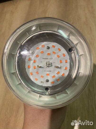 Фитолампа для растений эра