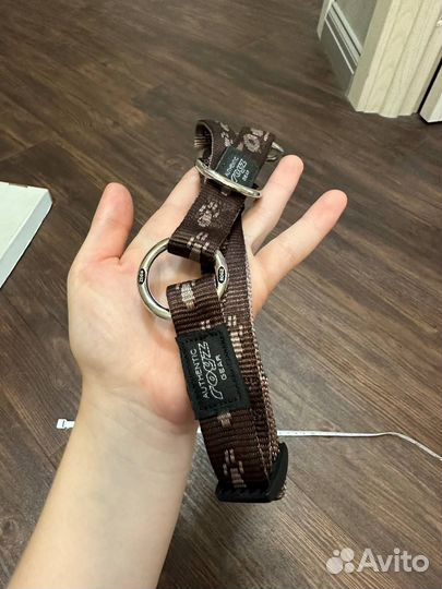 Ошейник полуудавка rogz gear