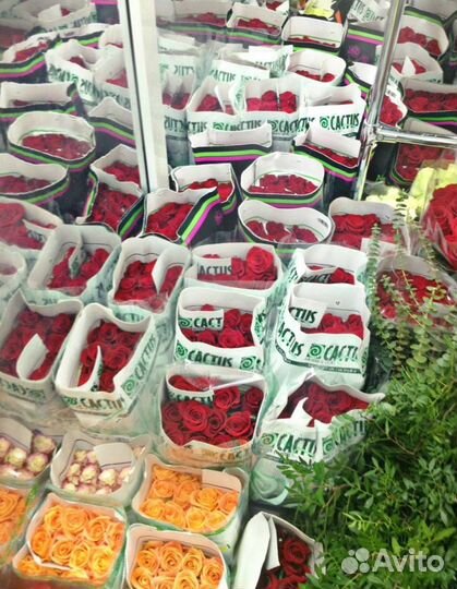 Розы красные/сортовые (из Эквадора)