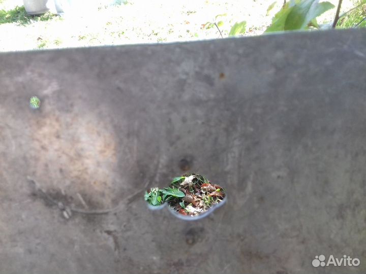 Алюминевая дверь