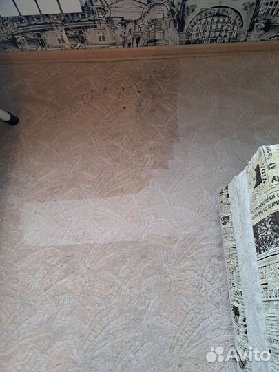 Химчистка мягкой мебели и ковровых покрытий