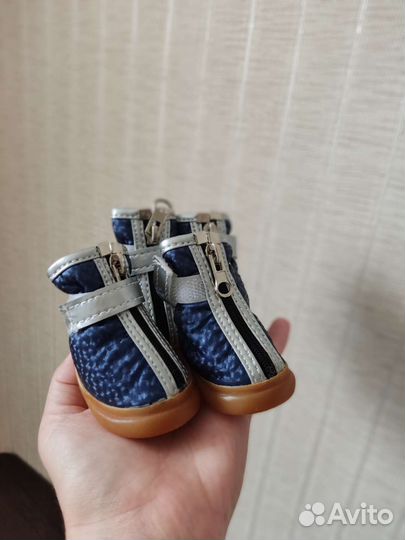 Обувь для собак