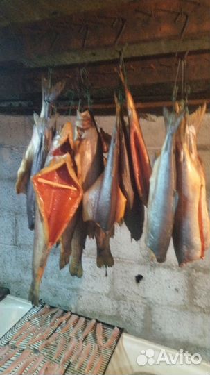 Копчение рыбы