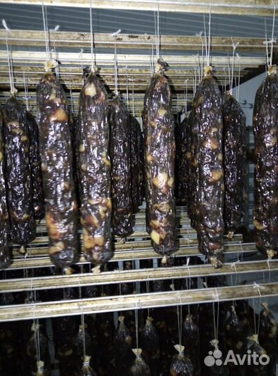 Казы Халяль