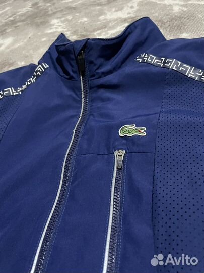 Олимпийка lacoste оригинал