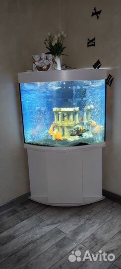 Аквариум